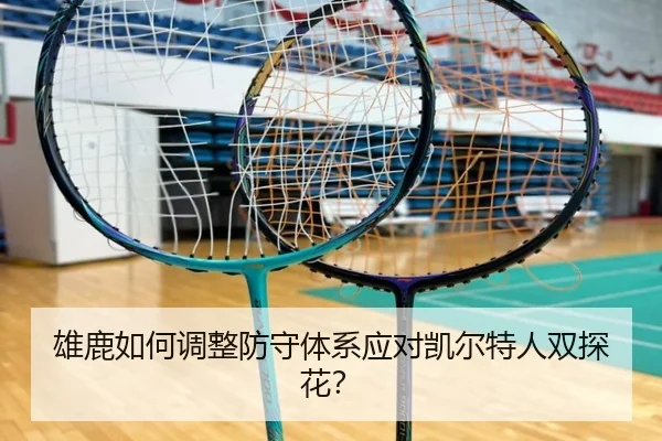 雄鹿如何调整防守体系应对凯尔特人双探花？
